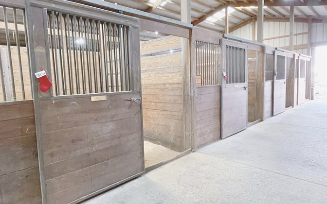 Sohlay Sporthorses